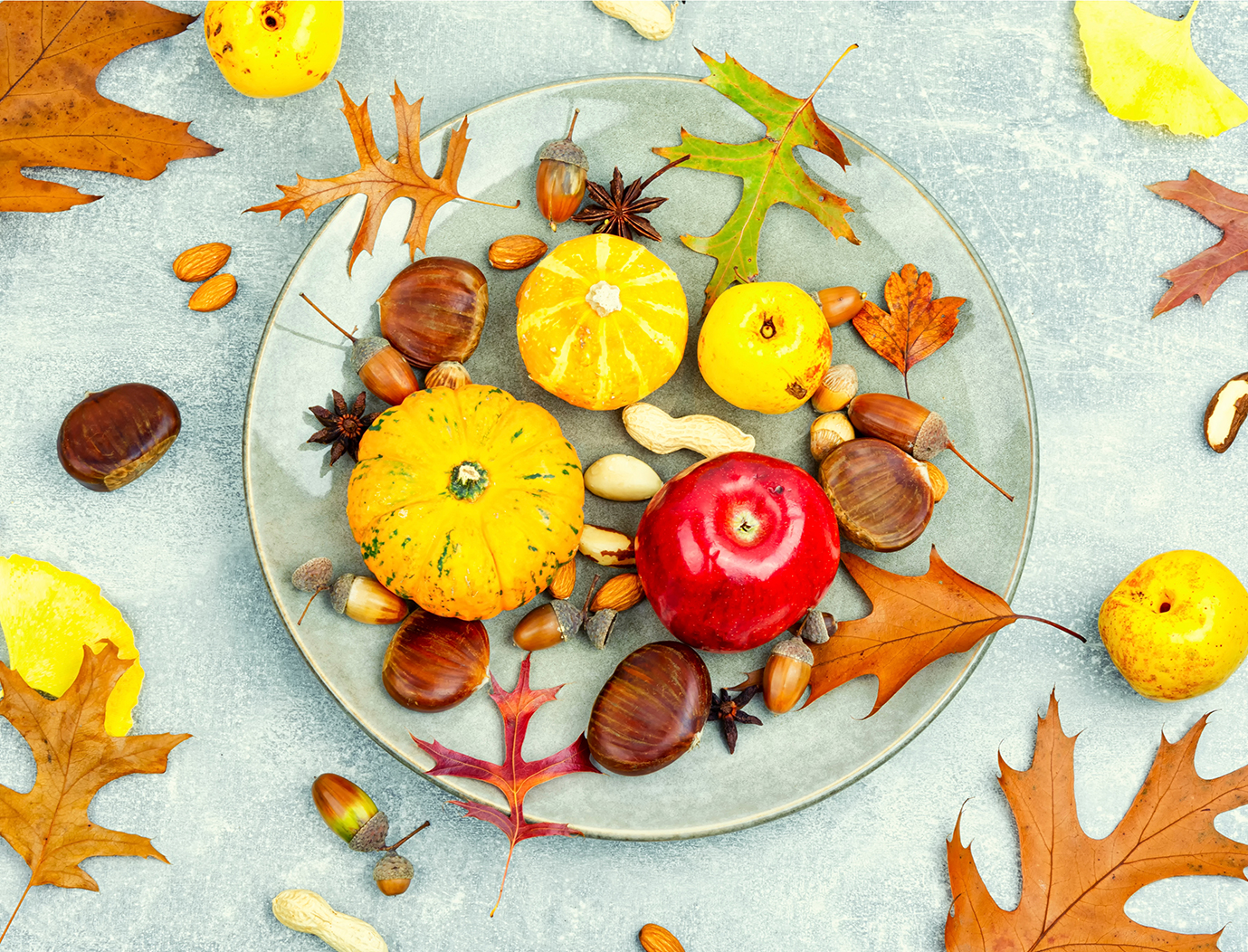 Herbstausstellung